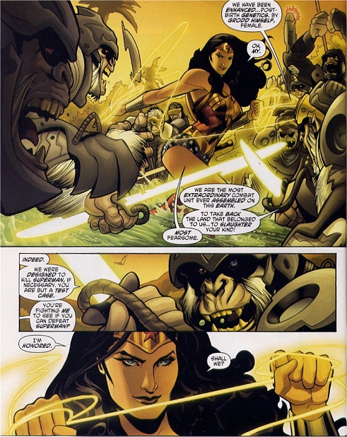 Wonder Woman prepares for the coming fight...